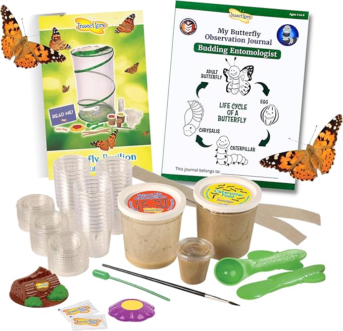 Insect Lore School Kit Refill with 33 Live Caterpillars - STEM Activity Journal & 33 Live Baby Painted Lady Butterfly Caterpillars - Cups & Tools Included