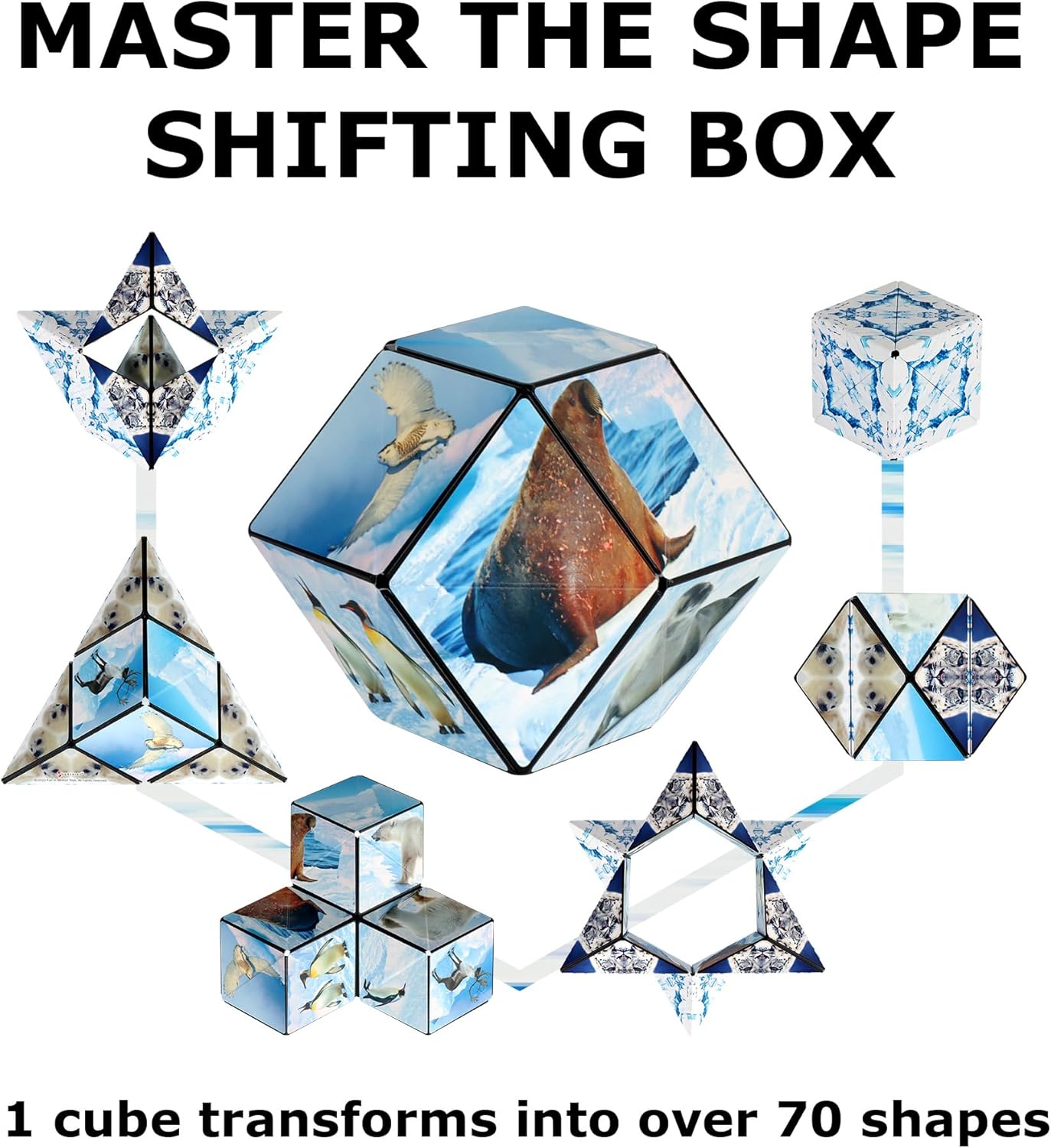 SHASHIBO Shape Shifting Box - Award-Winning, Patented Fidget Cube w/ 36 Rare Earth Magnets - Transforms Into Over 70 Shapes, Download Fun in Motion Toys Mobile App (Wild Series - Arctic)