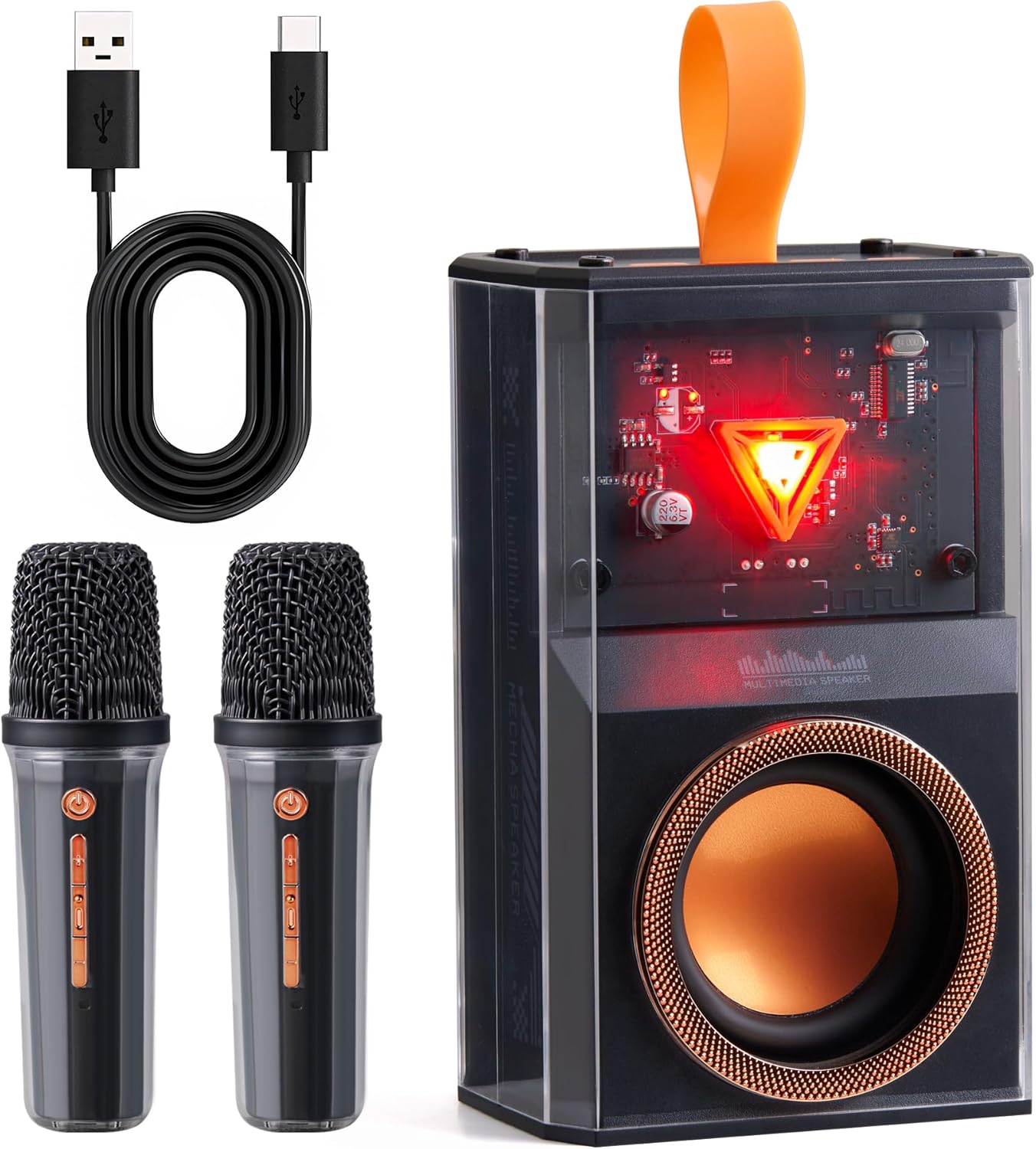 Karaoke Machine for Kids & Adults, Portable Bluetooth Mini Karaoke Speaker with 2 Wireless Microphone and Lights, Birthday Gifts for Girls & Boys, Toys for Girls, Family Home Party (Black)