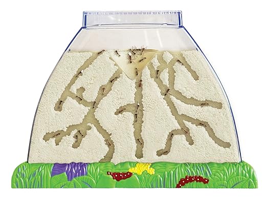 Insect Lore Ant Hill Habitat Kit with Live Ants Voucher – STEM Educational Science Kit for Kids – Includes Pre-Paid Voucher for 50 Harvester Ants – Watch Ants Tunnel and Explore