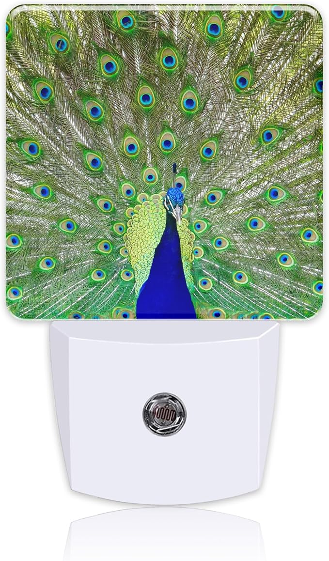 Night Light for Kids Girls Boys, Magnificent Peacock LED Night Light Plug into Wall with Dusk to Dawn Sensor for Room Decor, Hallway, Kitchen, Bathroom, Nursery, Stairs
