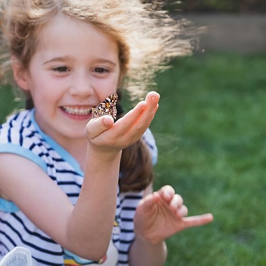 Insect Lore Live Butterfly Garden Life Cycle Observation Kit with 10 Live Baby Painted Lady Caterpillars - Habitat and Supplies Included