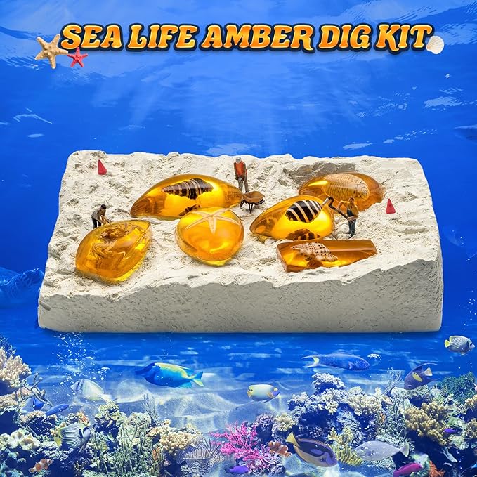 GobiDex Sea Life Amber Dig Kit, Educational Fun Toys STEM Activities Science Kits for Kids Age 6-8-12, Dig Up 6 Real Artificial Shellfish Resin&Collection Specimens, Birthday Gifts for Boys and Girls