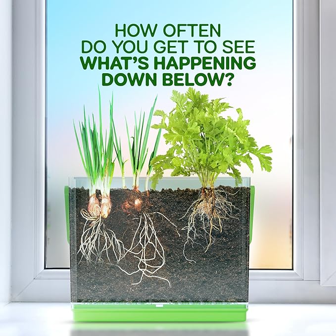 Dan&Darci Root Viewer Kit for Kids - Grow Your Own Plant for Boys & Girls Christmas Gifts - Science STEM Toy & Craft Growing Kits for Ages 4-8 Birthday Gifts for Boy, Girl 4, 5, 6, 7, 8, Year Old