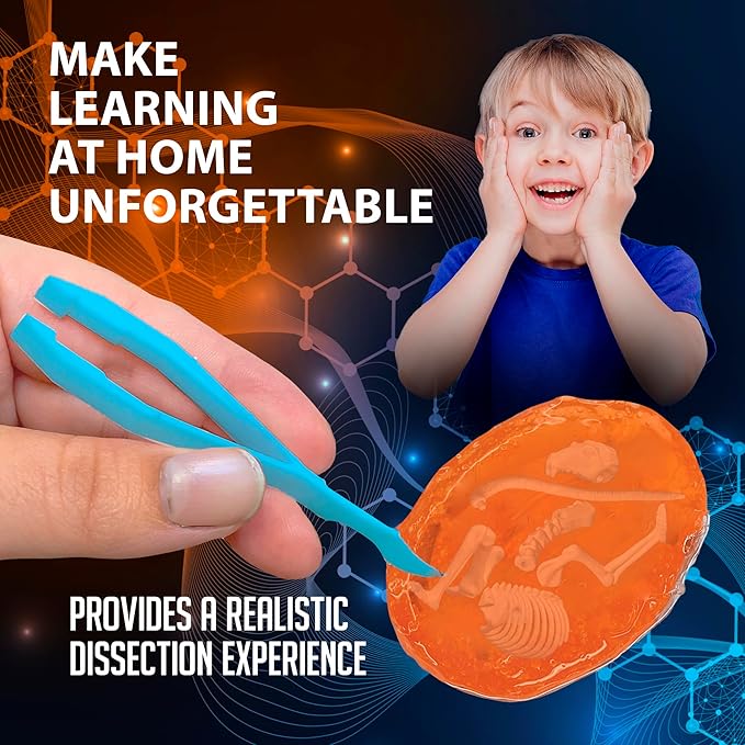 Discover-It Dissection Kit for Kids, Owl Pellet Science Lab Kit to Learn About Animals, Science Toys for Kids Ages 5 and Above