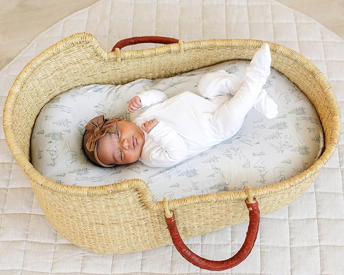 Baby Bassinet Sheets for Boy, Girl (Arctic Journey) 2-Pack - Fitted Bedside Bassinet Sheets - Buttery Soft Cotton Blend for Standard Mattress Pad - Compatible with Halo BassiNest