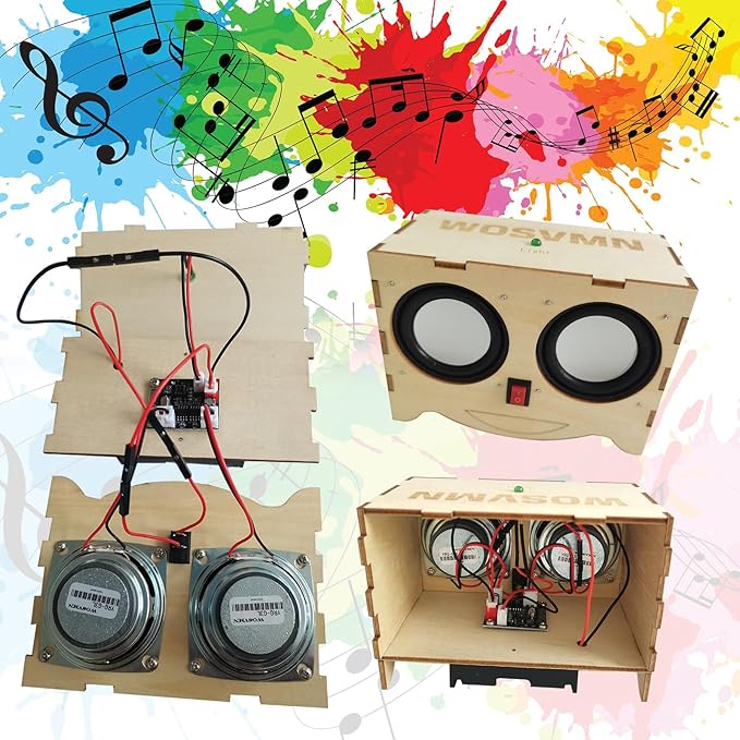 Craft Kit - DIY Bluetooth Speaker Kit, Build Personalized Wood Case Speaker Set, Learning STEM Gifts for Teens