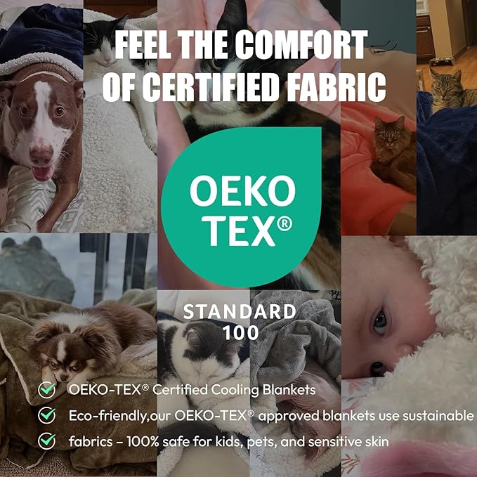 NANPIPER Sherpa Blanket for Couch, Warm and Lightweight Throw, Soft Fuzzy Plush Fleece for Winter, Estate Blue 50x60 Inches