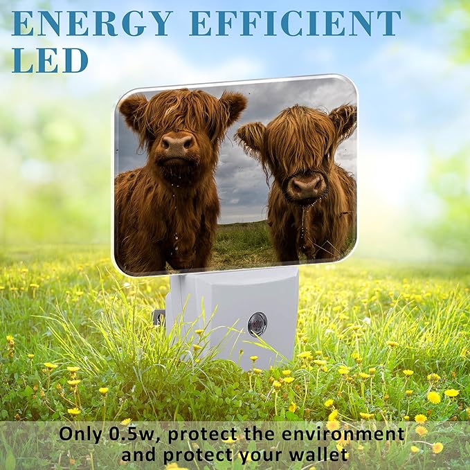 Highland Cows Plug in Night Lights, Cute Highland Cows Nightlight Plug Into Wall Dusk to Dawn Sensor for Kid Girls Boys Women Men Bedroom, Hallway, Kitchen, Bathroom, Stairs Decor