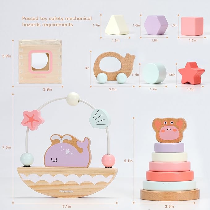 Sensory & Educational Wooden Toy Set for Toddlers 1-3 Years Old - Stacking Rings, Shape Sorter, Push Car, Bead Maze for Boys & Girl