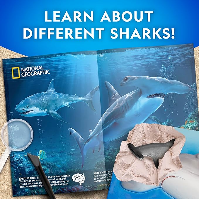 Blue Marble National Geographic Shark Dig Kit - Excavation Science Kit for Kids 8-12 With 2 Figurines and Dig Tool