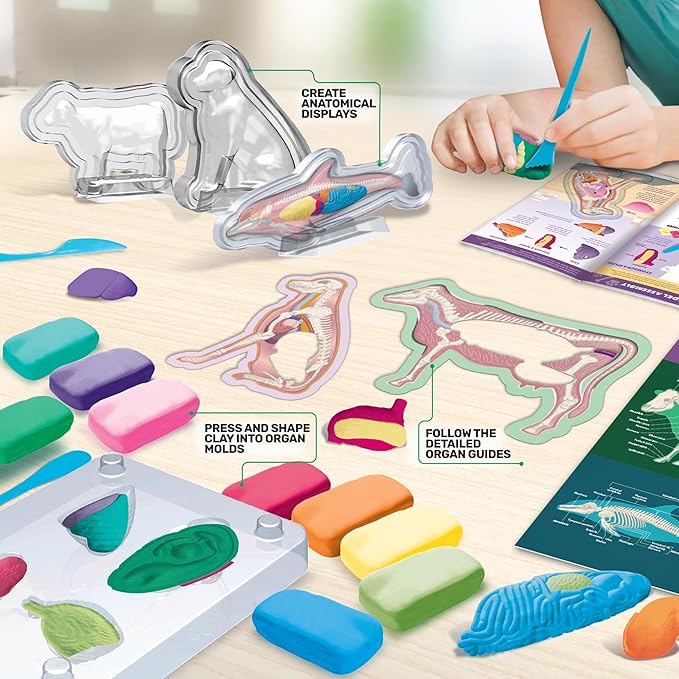 ArtSkills Epic Lab Vet Kit for Kids, Animal Anatomy Science Kit for Kids 8+ with Modeling Clay