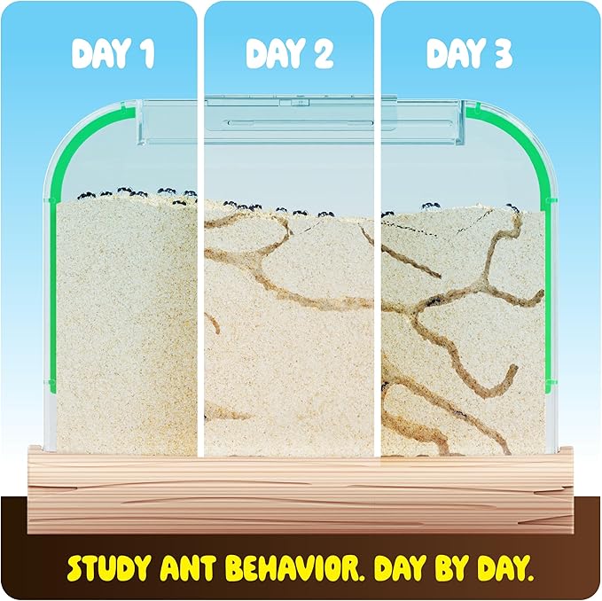 Dan&Darci Ant Farm Kit for Kids - Farms Colony - Includes Ants Voucher - Sand Habitat Kits - Bug Terrarium House - Educational Science Gifts for Kid - Nature Learning Toys for Boys, Girls & Adults