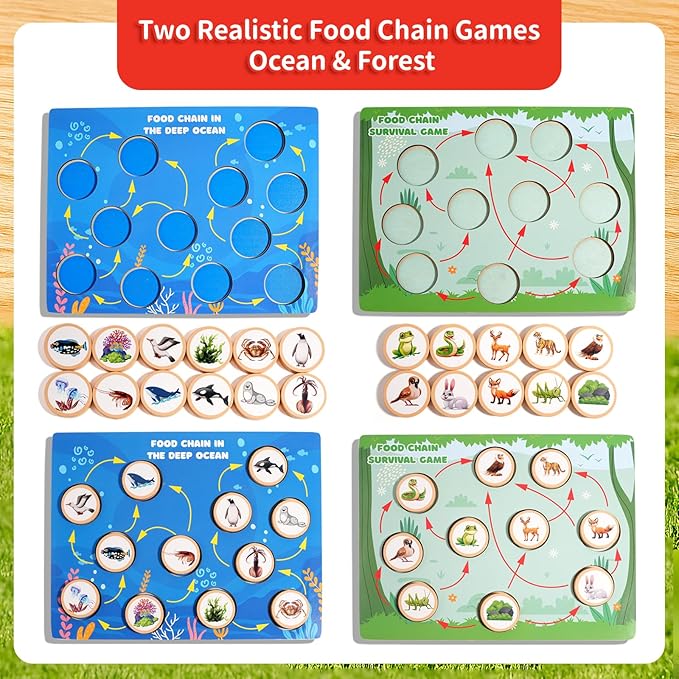 Montessori Wooden Preschool Educational Toys Set for Toddlers 3-6,Life Cycle Puzzle, Shape Sorting Matching Game & Ecosystem Science Center – STEM Learning Gifts for Boys & Girls