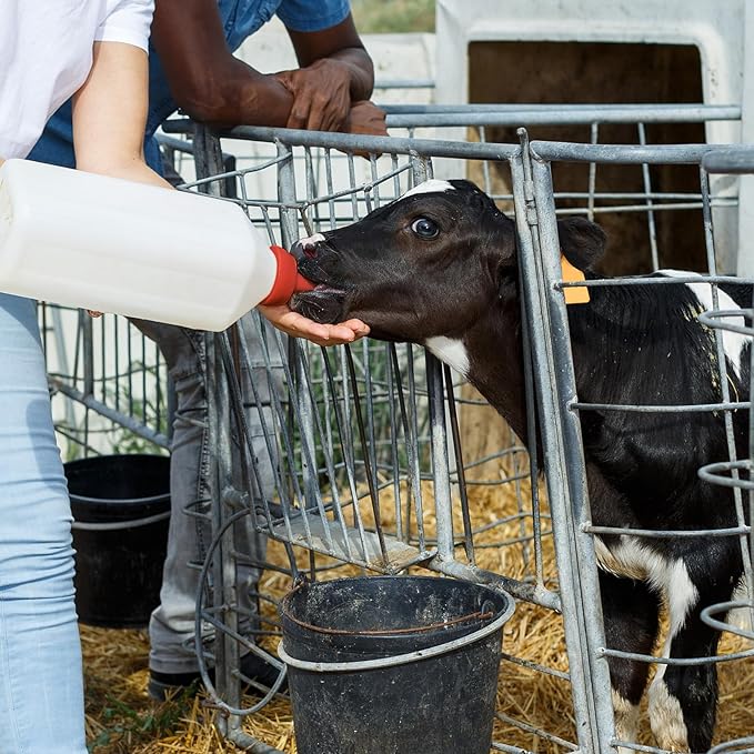 Calf Bottle Lamb Feeding Nipple 2.11 Quart Calves Nursing Feeder with a Replacement Teat for Baby Livestock Animals