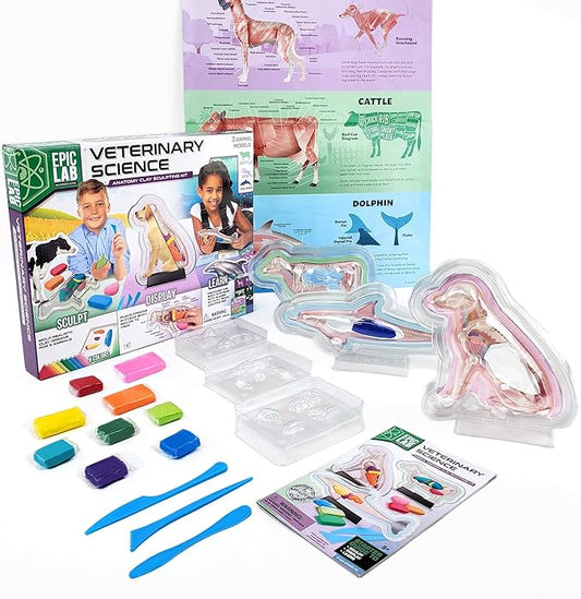 ArtSkills Epic Lab Vet Kit for Kids, Animal Anatomy Science Kit for Kids 8+ with Modeling Clay