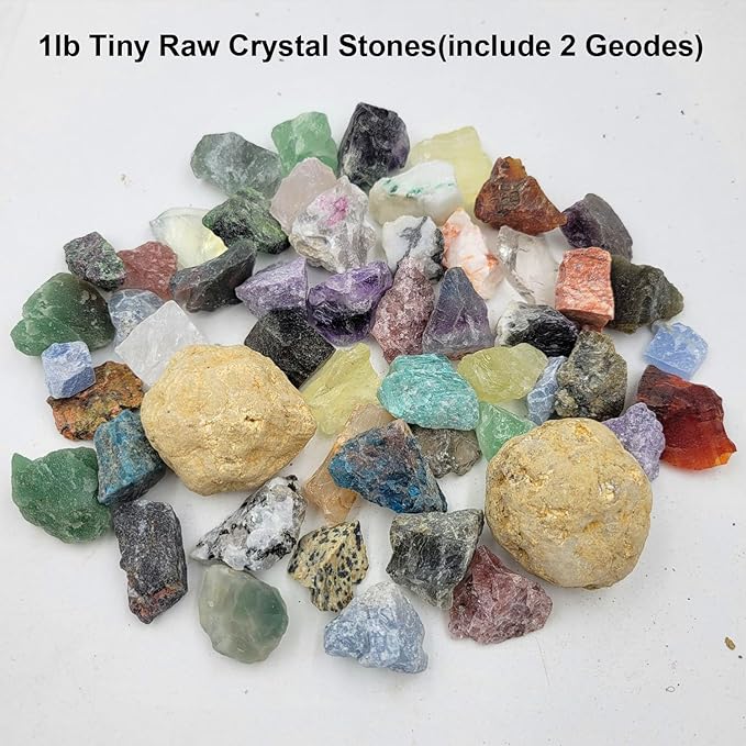 450 Pieces Rocks Collections for Kids, 40+ Kinds Gemstones and Crystals Set, Rocks and Minerals Science Kit Include 1.5lb Tumbled Chips Crystals and 1lb Tiny Rough Stones