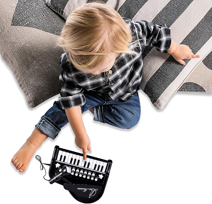 Love&Mini Toy Piano for Toddler - Birthday Gift for 1 2 3 4 Year Old Girls and Boys, 24 Keys Multi-Functional Baby Piano Toy with Microphone