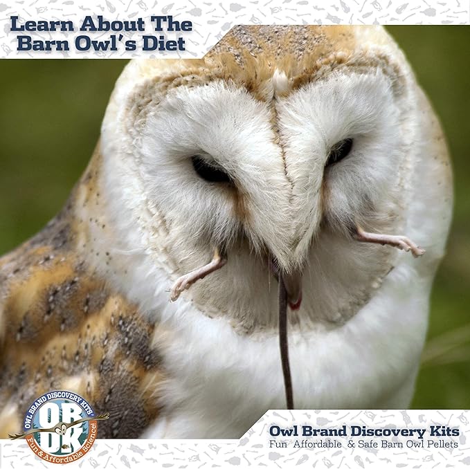 OBDK Barn Owl Pellets for Dissection - 20 Pack Medium Sized (1.5"-2.0") with Tools, Guide and Charts from Owl Brand Discovery Kits
