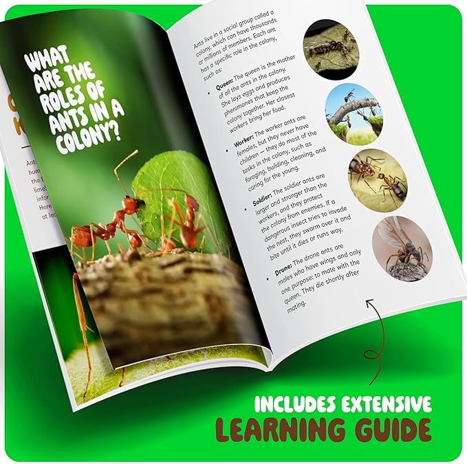 Dan&Darci Ant Farm Kit for Kids - Farms Colony - Includes Ants Voucher - Sand Habitat Kits - Bug Terrarium House - Educational Science Gifts for Kid - Nature Learning Toys for Boys, Girls & Adults