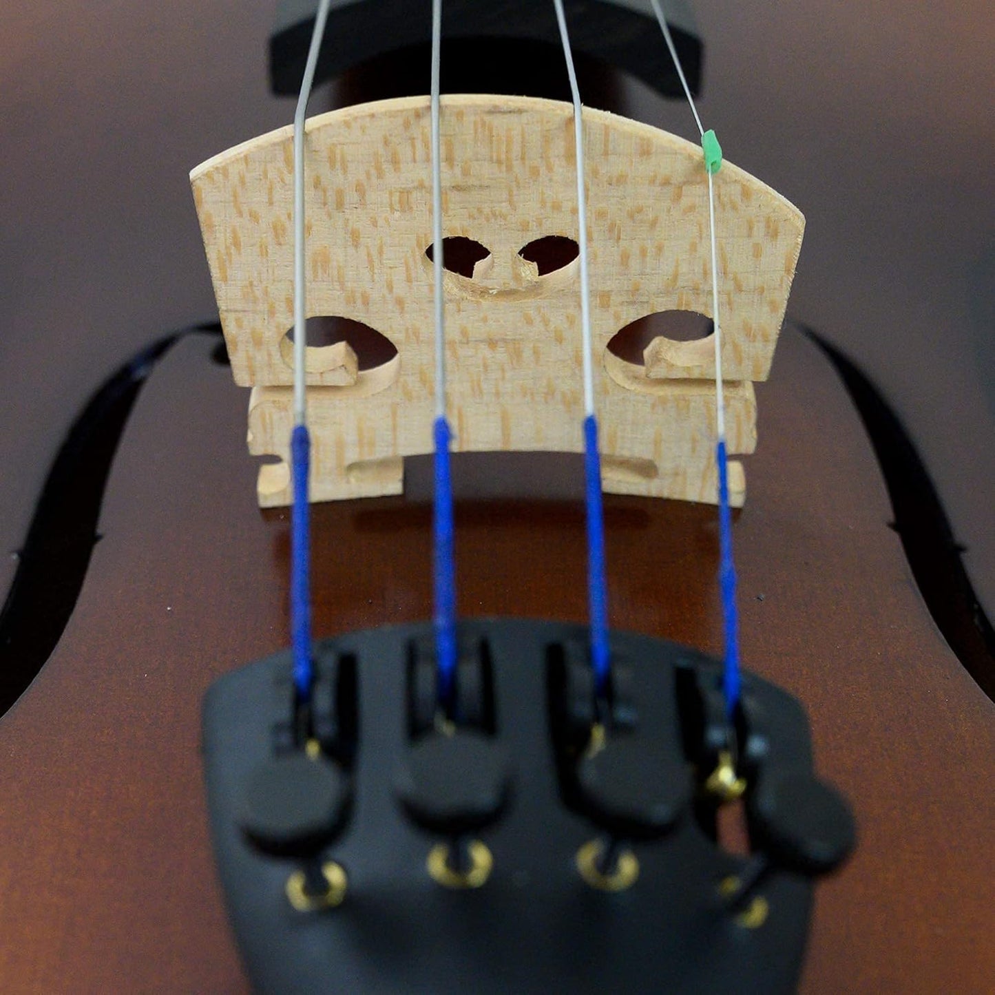 Bunnel Premier Violin Outfit 1/4 Size — Carrying Case and Accessories Included - Solid Maple Wood and Ebony Fittings By Kennedy Violins