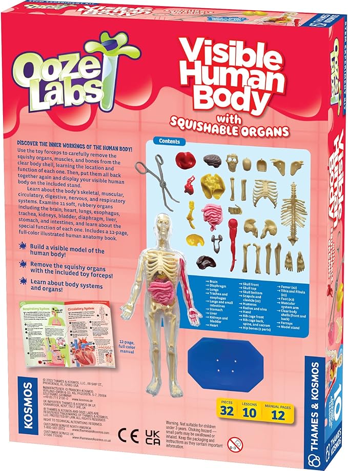 Thames & Kosmos Ooze Labs: Visible Human Body with Squishable Organs