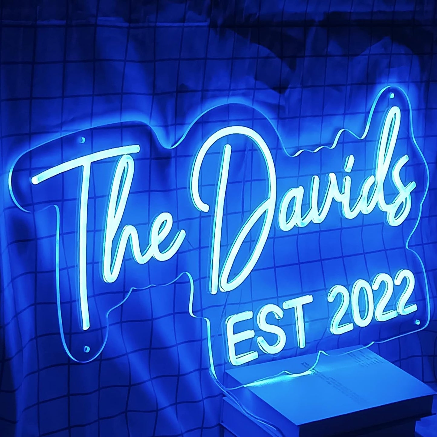 Custom Neon Sign,Neon Sign Customizable for Wall Decor,Birthday Gift, Gifts for girl,Girlfrend, christmas,Wedding,Party,Bar,Salon,Personalized Family Name ligh for Bedroom Decor