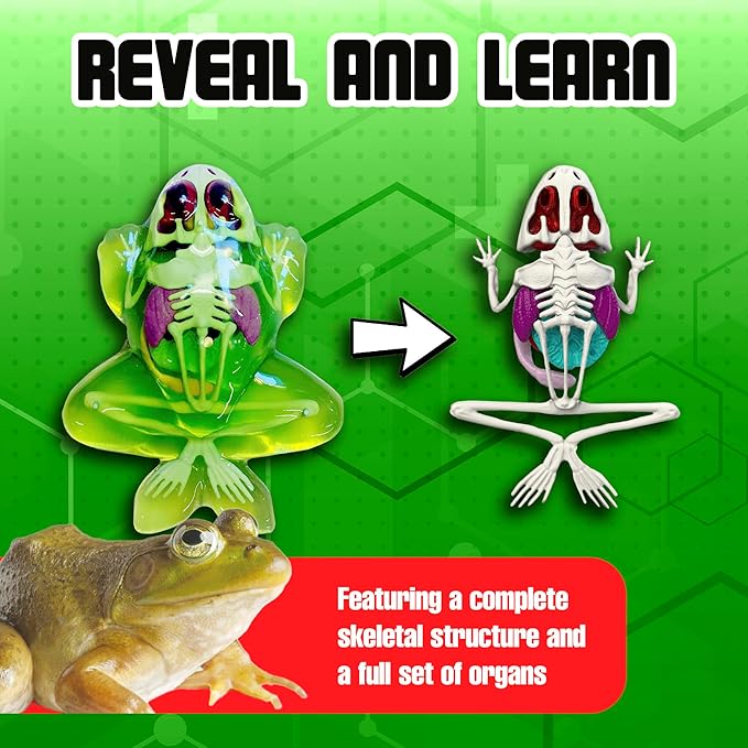 Dissect-It Simulated Synthetic Lab Dissection Toy, STEM Projects for Kids Ages 6 and Up, Animal Science, Biology, Anatomy Home Learning Kit, Great for Young Scientists! – Frog
