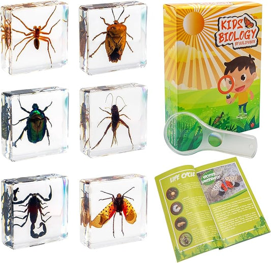 Insect Specimen Set, Bugs Collection Scientific Education Gift for Kids Aged 3-8-12 (Spider, Scorpion, Cricket, Chafers, Stink Bug, Spotted Lanternfly Resin Collection)