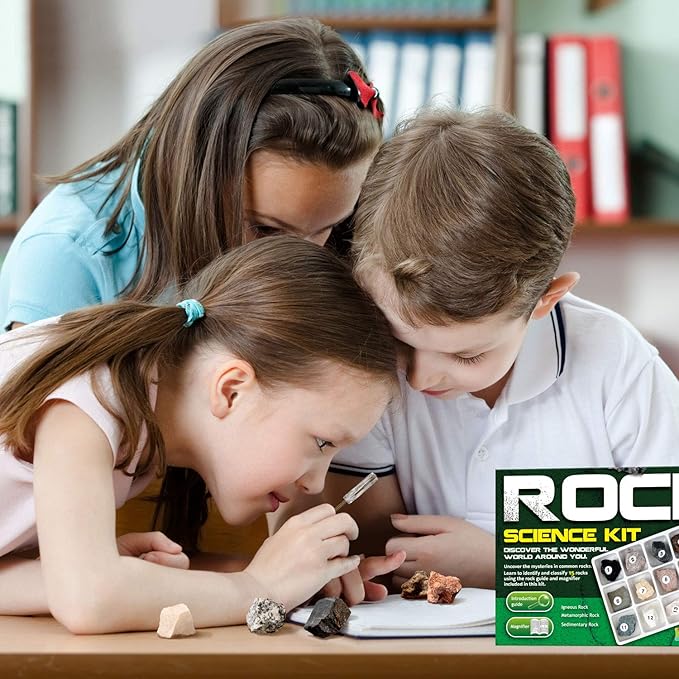 XXTOYS Rock & Stone Collection 15 PCS with Collector Box, STEM Toy Science Kit Geology Mineral Specimens Gift Presents for Kid Geologists