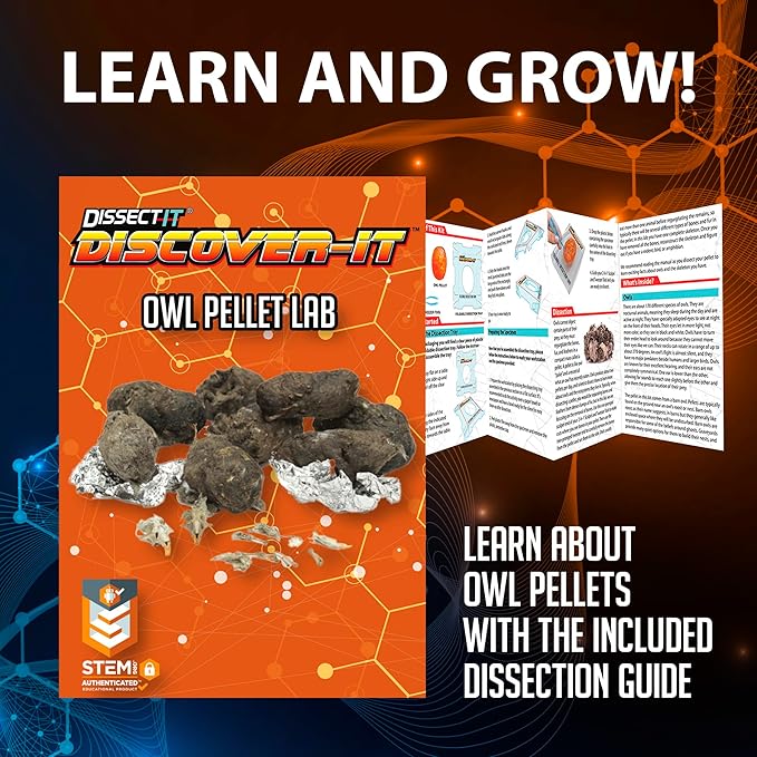 Discover-It Dissection Kit for Kids, Owl Pellet Science Lab Kit to Learn About Animals, Science Toys for Kids Ages 5 and Above