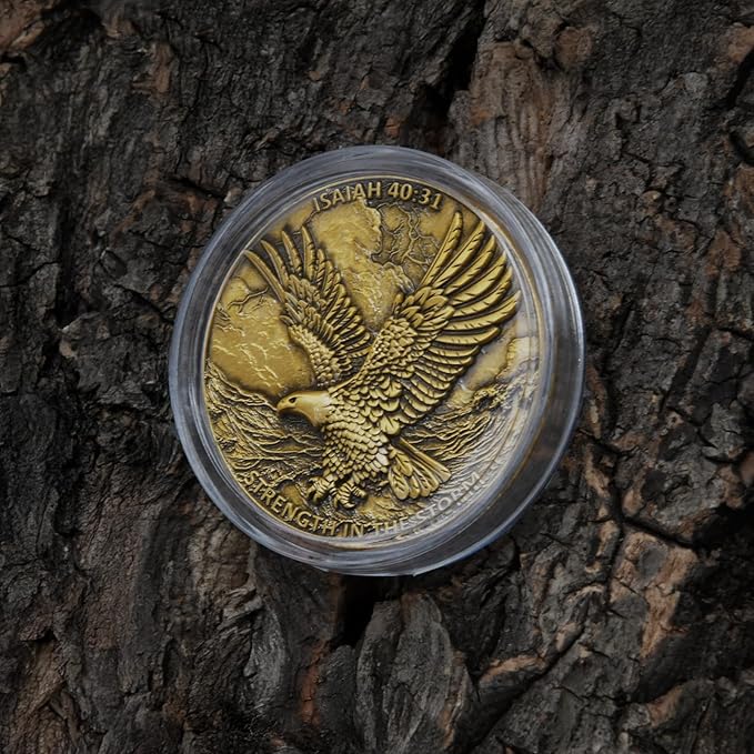1.57 Inch Zinc Alloy Double-Sided 3D Eagle Challenge Coin - Inspirational Design with Isaiah 40:31 Engraving, Strength in The Storm Theme