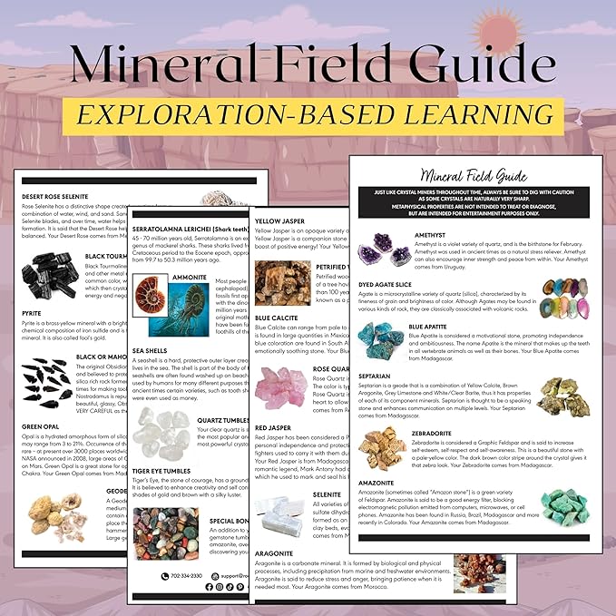 Gemstone Paydirt Geodes for Kids Break Open Science Kits for Kids Age 8-12 Shark Teeth Fossil Digging Kit for Educational Toys, Rock Collections for Mining Bucket Rock Collection