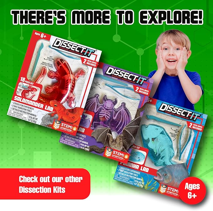 Dissect-It Simulated Synthetic Lab Dissection Toy, STEM Projects for Kids Ages 6 and Up, Animal Science, Biology, Anatomy Home Learning Kit, Great for Young Scientists! – Frog