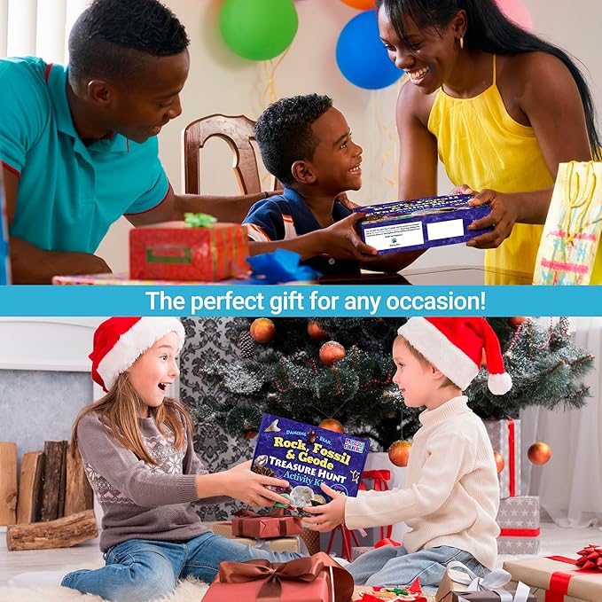 DANCING BEAR Rock, Mineral & Geodes Treasure Hunt Activity Kit (250 Pc Set) Real Shark Teeth Fossils, ID Sheet & Rock Book, STEM