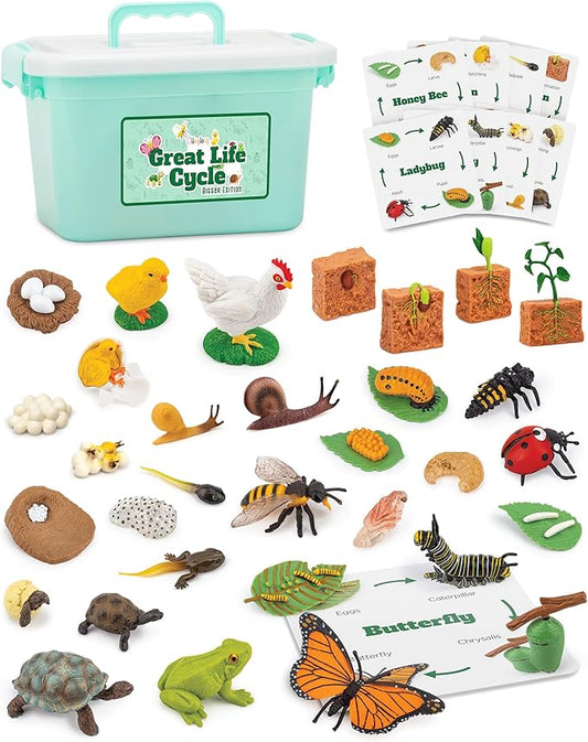 Life Cycle Animal Kit - 32 Piece Montessori Science Toy with Frog, Ladybug, Butterfly, Bee, Chicken, Turtle, Snail & Plant Figurines. Matching Game & STEM Educational Gift for Kids Ages 3–8