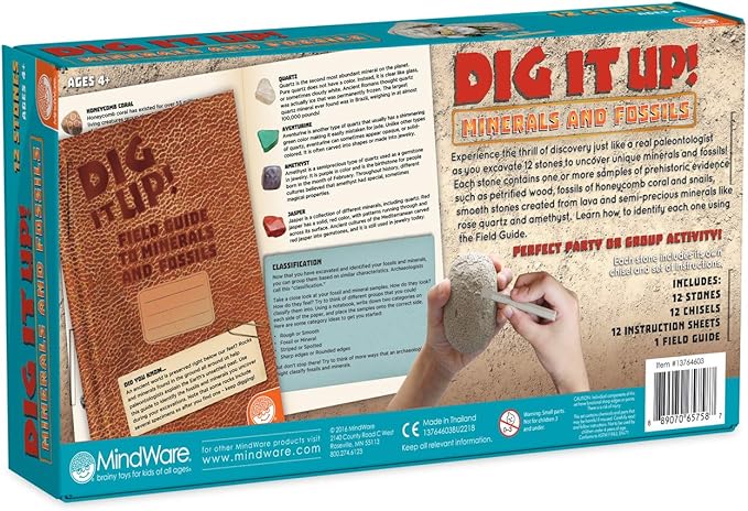 Dig It Up! Fossils & Minerals
