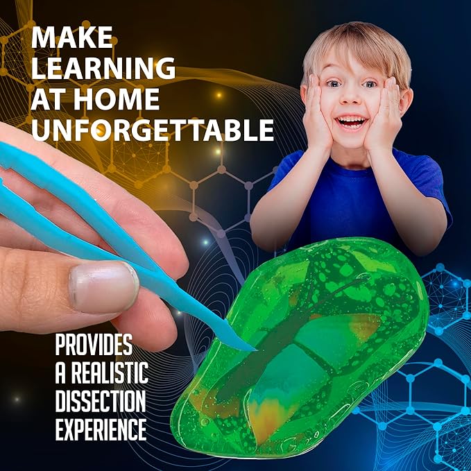 Discover-It Dissection Kit for Kids, Synthetic Butterfly Metamorphosis Science Lab Kit, STEM Science Toys for Kids Ages 5 and Above