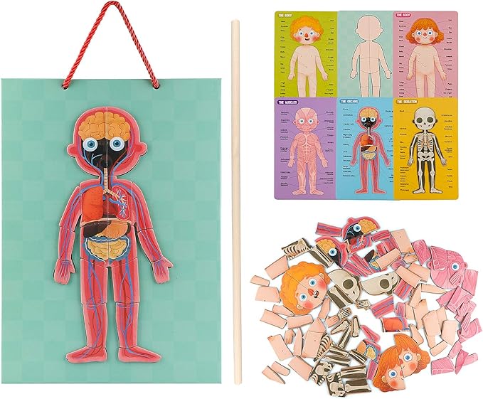 Human Body Puzzle for Kids Toddlers 90PCS Magnetic Boy Girl Anatomy Play Set Body Parts Organs Muscles Skeleton and Bones Wooden Puzzle Toys Aged 3+ Educational Learning Preschool Toys
