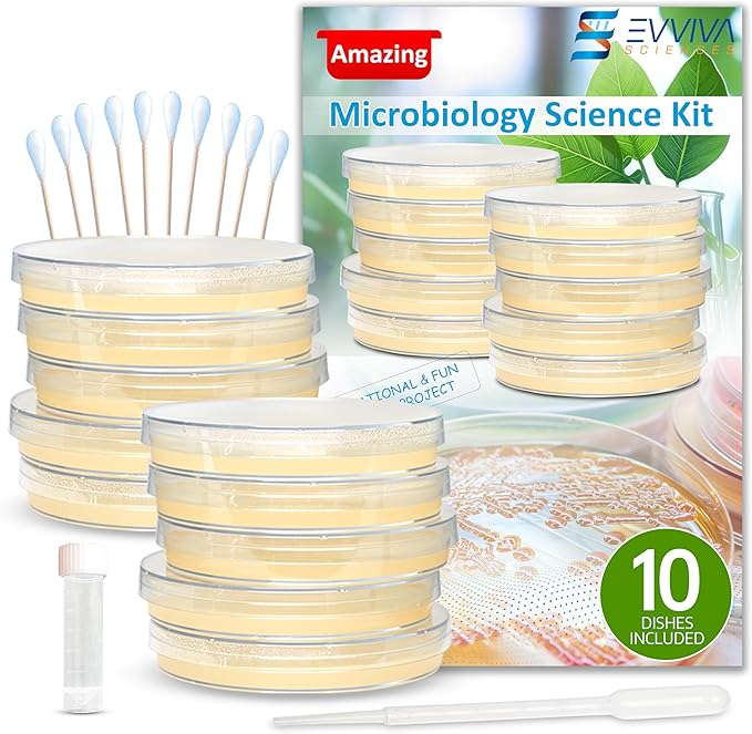 Evviva Sciences Microbiology Science Project Kit, Pre-Poured Agar Plates for Students, Agar Petri Dishes to Learn Microbiology, with Educational Experiment eBook