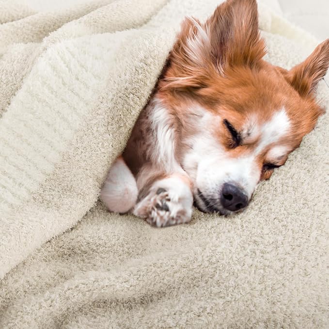 NEXHOME PRO Soft Throw Blankets for Couch, Reversible Warm Blankets Cozy Knit Blanket for Women, Fuzzy Plush Lightweight Throws for Sofa, Bed, Picnic, 50 x 60 inches