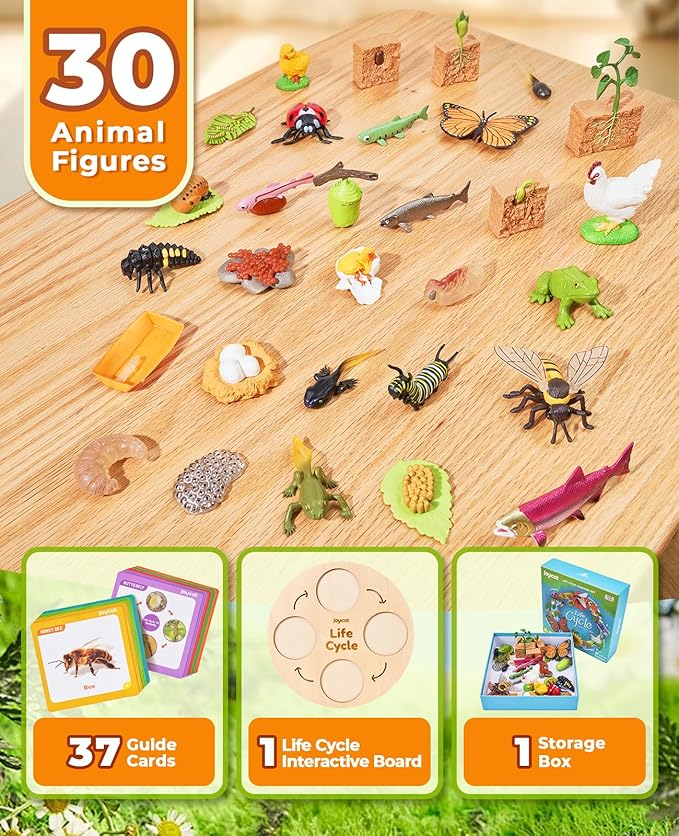 JoyCat Life Cycle Learning Education Toys, Insect Caterpillar to Butterfly kit, Ladybug, Bee, Tadpole to Frog Kit Life Cycle Toys for Kids, Preschool Learning Activities for Kids (Animals and Plant)