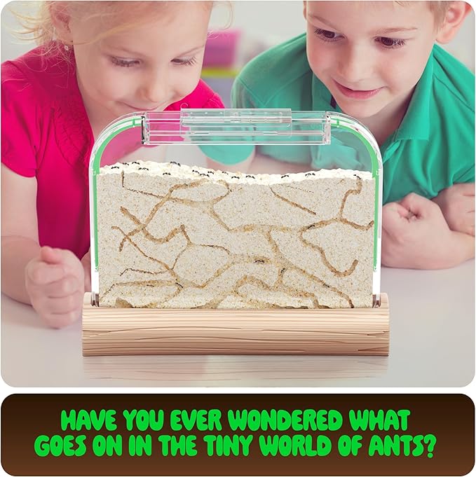 Dan&Darci Ant Farm Kit for Kids - Farms Colony - Includes Ants Voucher - Sand Habitat Kits - Bug Terrarium House - Educational Science Gifts for Kid - Nature Learning Toys for Boys, Girls & Adults