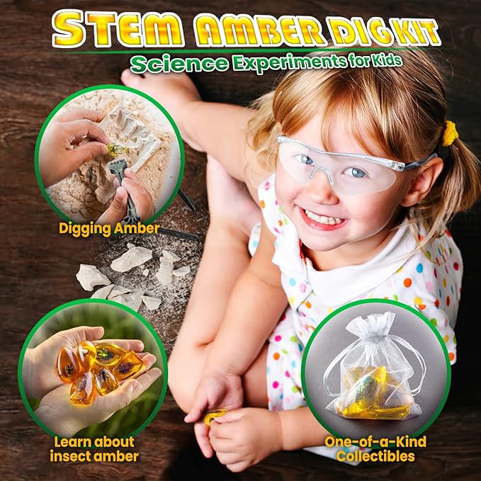 GobiDex Amber Dig Kit-Artificial Insect Resin, Excavate 6 Insects Specimens, STEM Geographic Educational Bugs Toys, Excavation Toys for Fun Bugs Party Favors, Science Kits for Kids Age 6-8 8-12