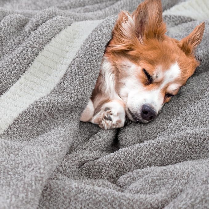 NEXHOME PRO Super Soft Throw Blankets for Couch, Twin Size Cozy Blankets Reversible Knit Blanket for Women, Fuzzy Plush Lightweight Throws for Sofa, Bed, Picnic, Taupe Grey, 60 x 80 inches