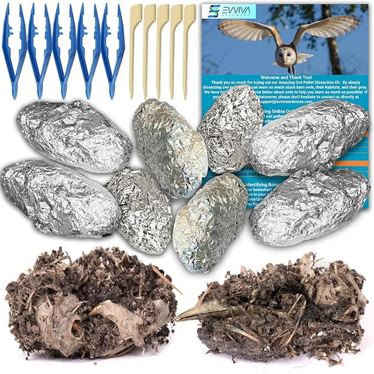 Amazing Owl Pellet Dissection Kit – 10 -Piece Owl Pellet Set for Science Lab Projects – w/Tweezers and Wooden Probes – Ideal for Fun Class Projects - Intended for Ages 15 & Older