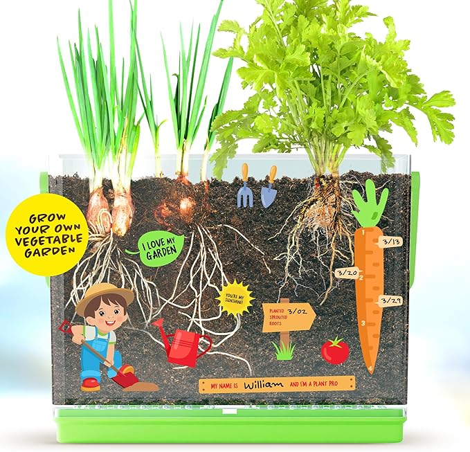 Dan&Darci Root Viewer Kit for Kids - Grow Your Own Plant for Boys & Girls Christmas Gifts - Science STEM Toy & Craft Growing Kits for Ages 4-8 Birthday Gifts for Boy, Girl 4, 5, 6, 7, 8, Year Old