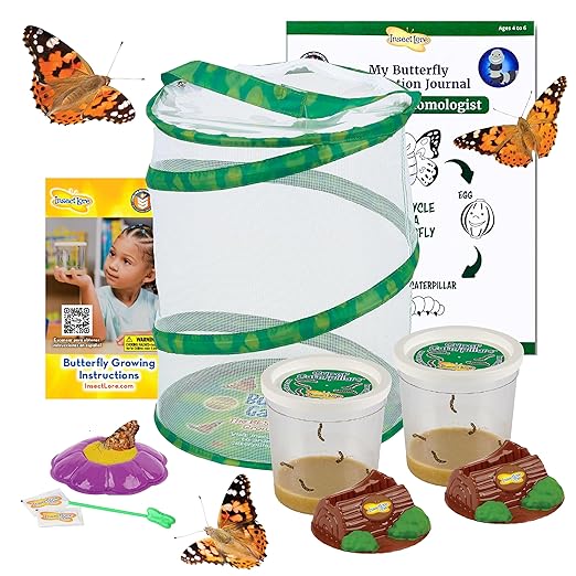 Insect Lore Live Butterfly Garden Life Cycle Observation Kit with 10 Live Baby Painted Lady Caterpillars - Habitat and Supplies Included