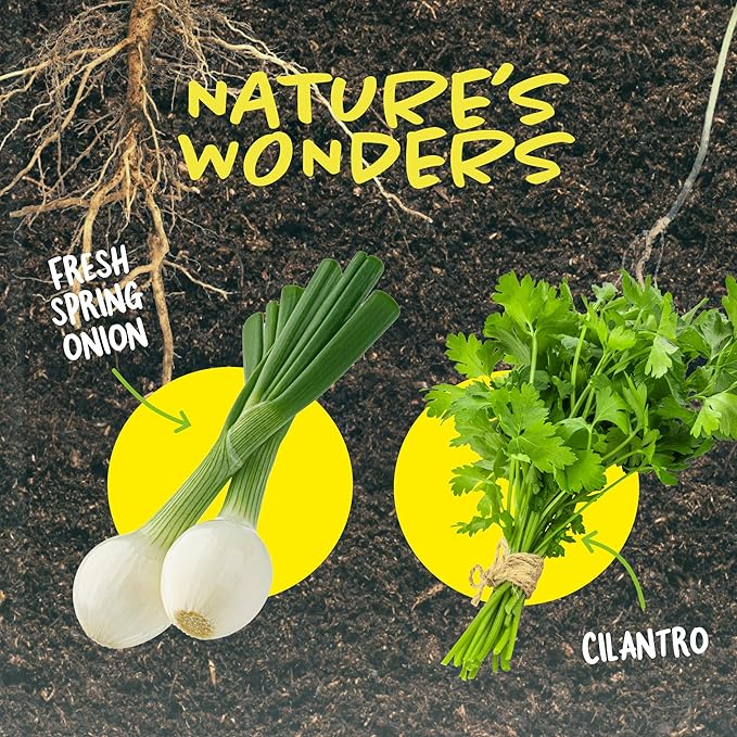 Dan&Darci Root Viewer Kit for Kids - Grow Your Own Plant for Boys & Girls Christmas Gifts - Science STEM Toy & Craft Growing Kits for Ages 4-8 Birthday Gifts for Boy, Girl 4, 5, 6, 7, 8, Year Old