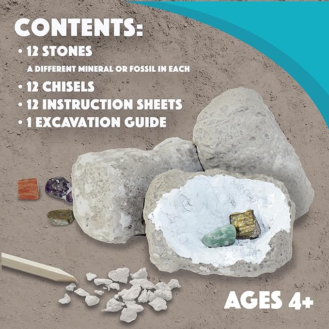 Dig It Up! Fossils & Minerals
